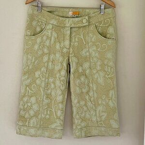 Anthropologie Tulle Brand Brocade Bermuda Dress Shorts Size 10 Pastel green